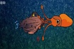 Thumbnail of Nemo`s Revenge